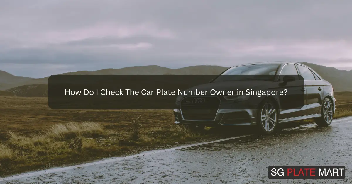 How Do I Check The Car Plate Number Owner in Singapore?